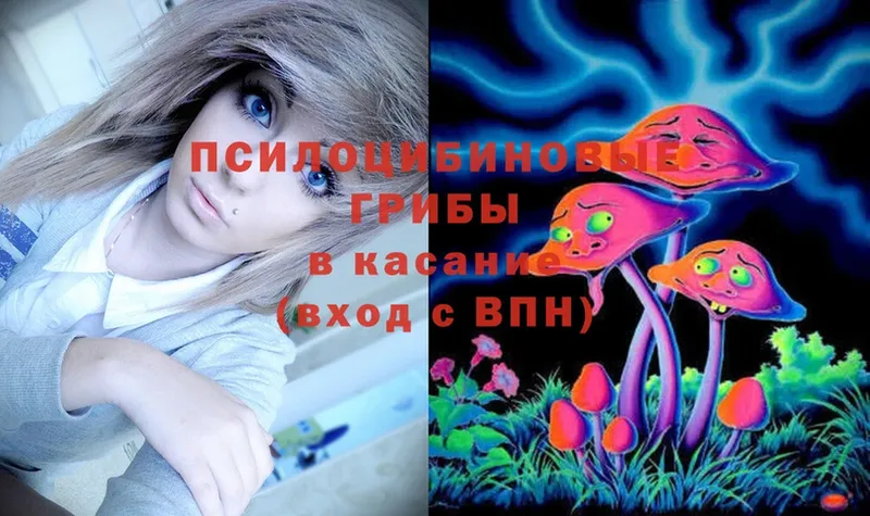 Галлюциногенные грибы Magic Shrooms  Бородино 